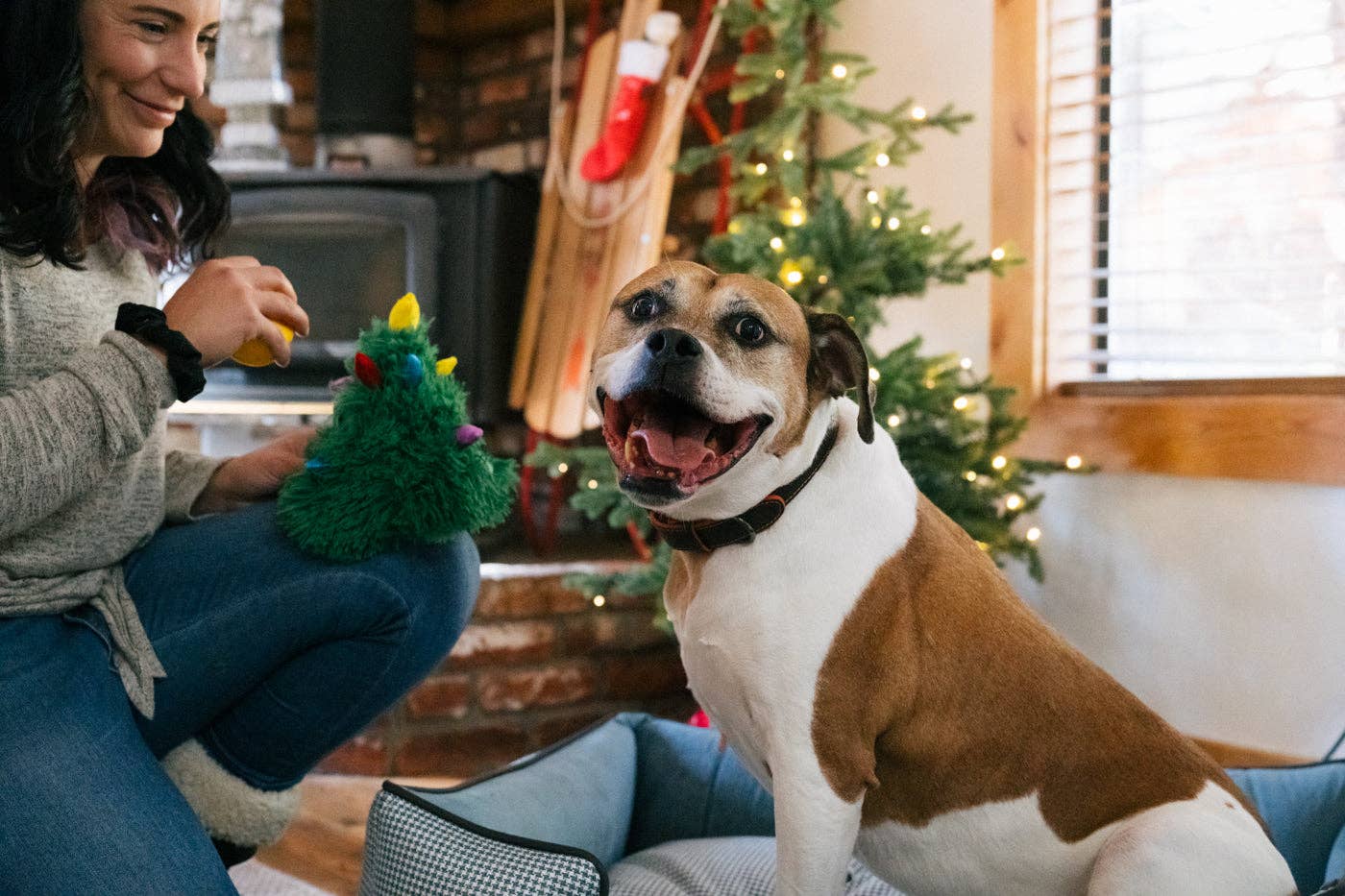 Merry Woofmas Spielzeug - Douglas Fur