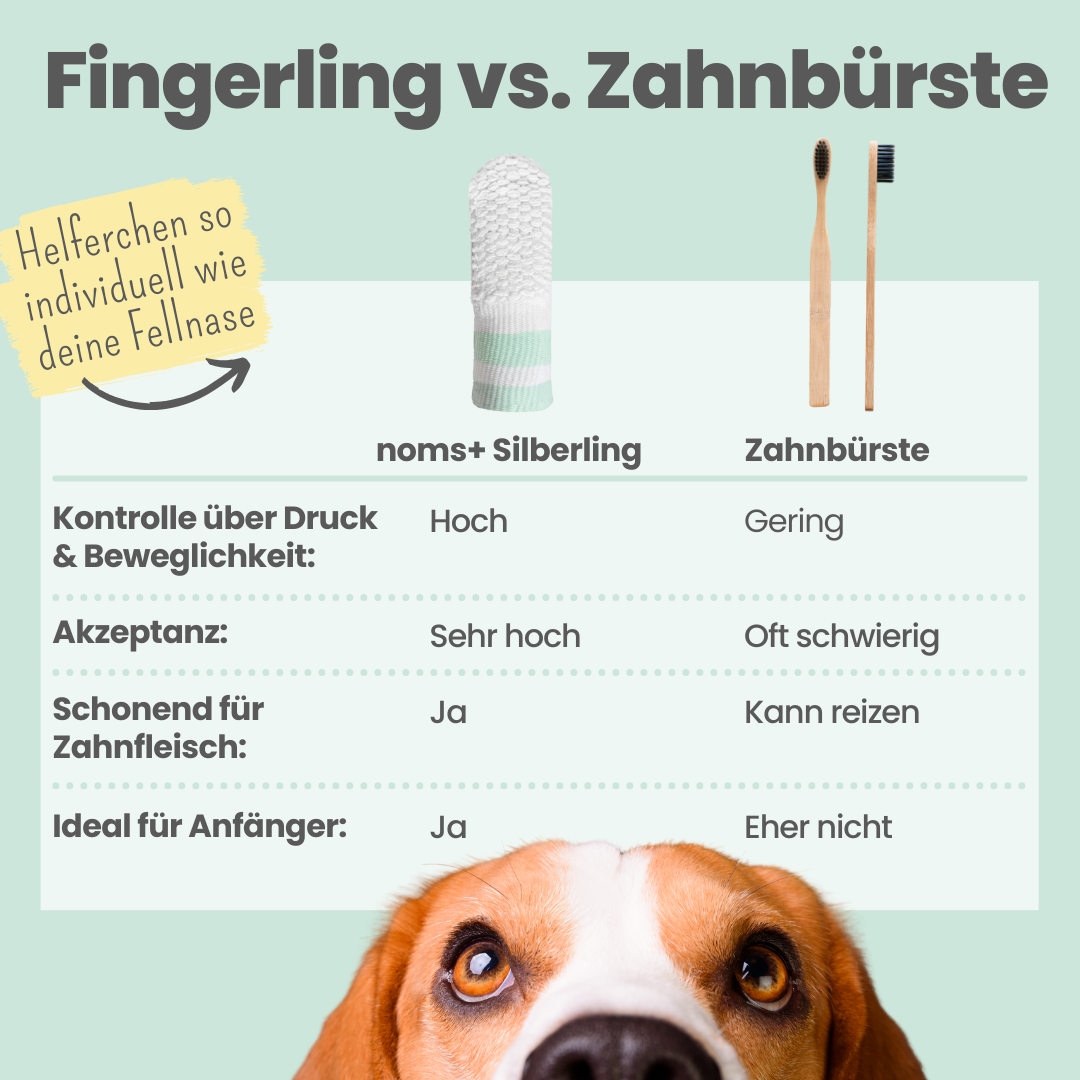 Silberling: Antibakterieller Zahnpflege-Fingerling für Hunde