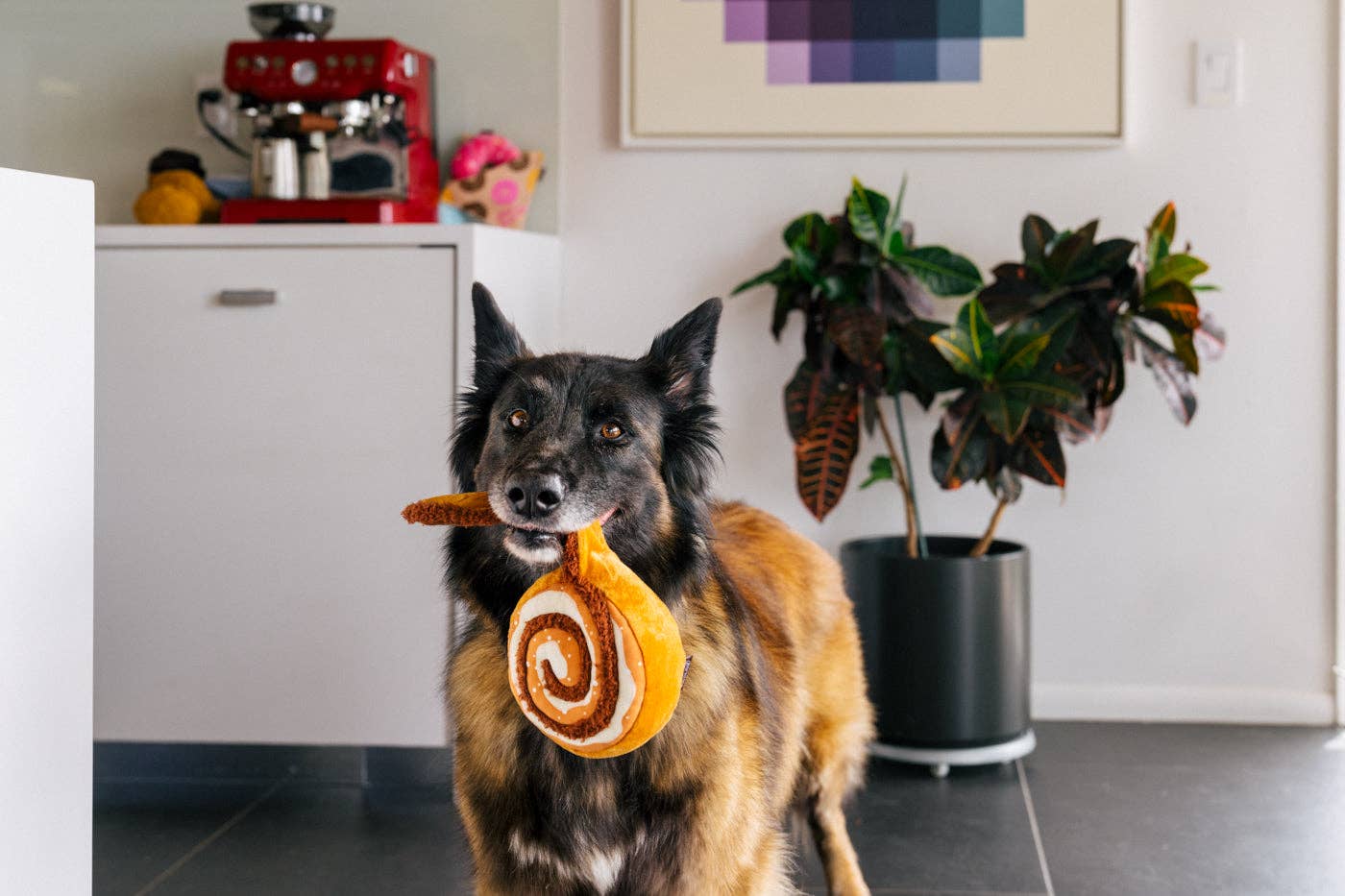 Cinnabon-e Spielzeug - Zimtschnecke mit Quietscher