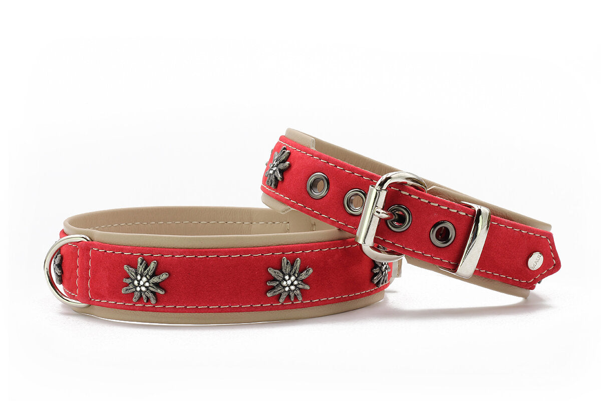 Halsband Alpenblume Rot