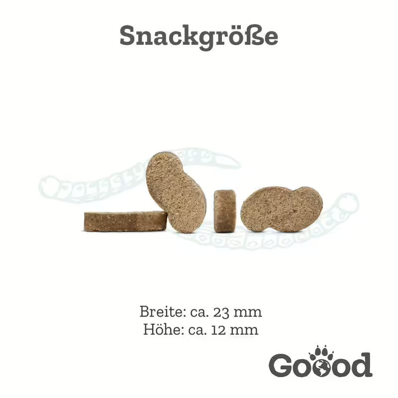 Can Soft Snack - Nachhaltige Insekten