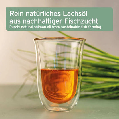 Salmon oil