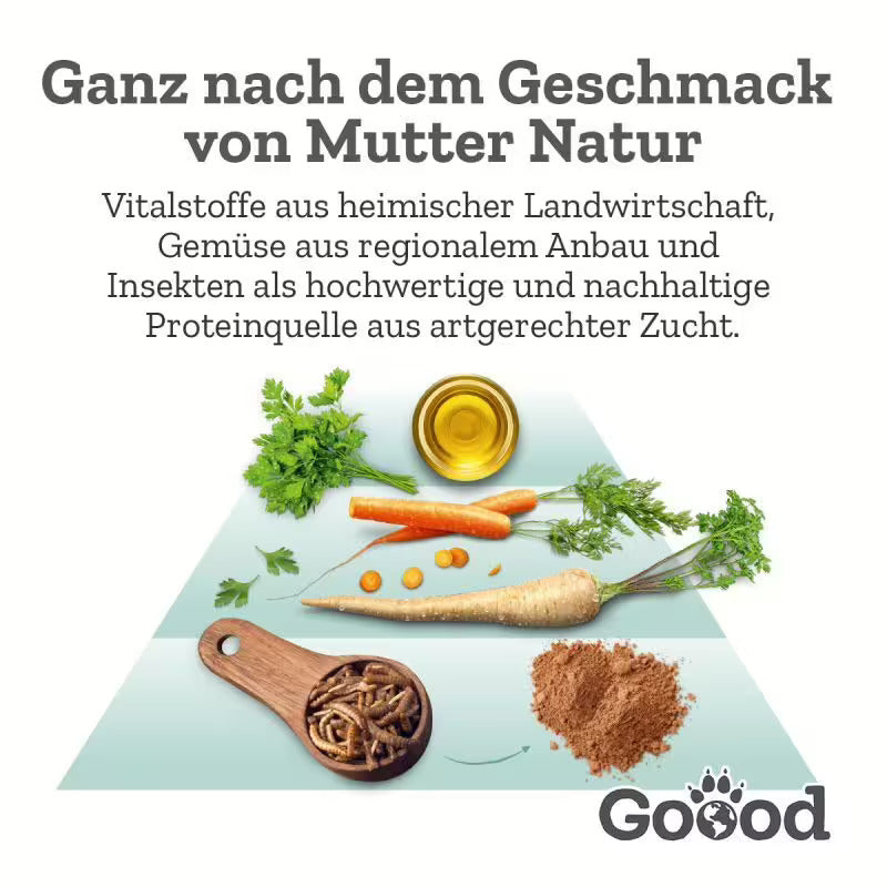 Can Soft Snack - Nachhaltige Insekten