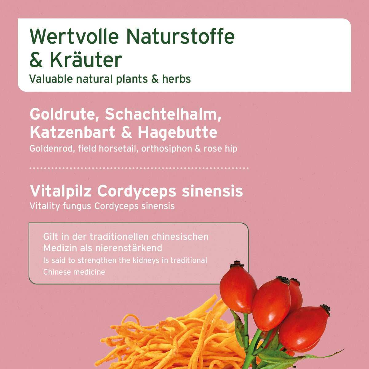 NierenVetal Pulver