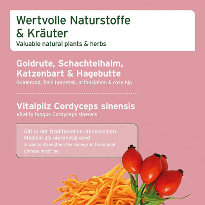 NierenVetal Pulver