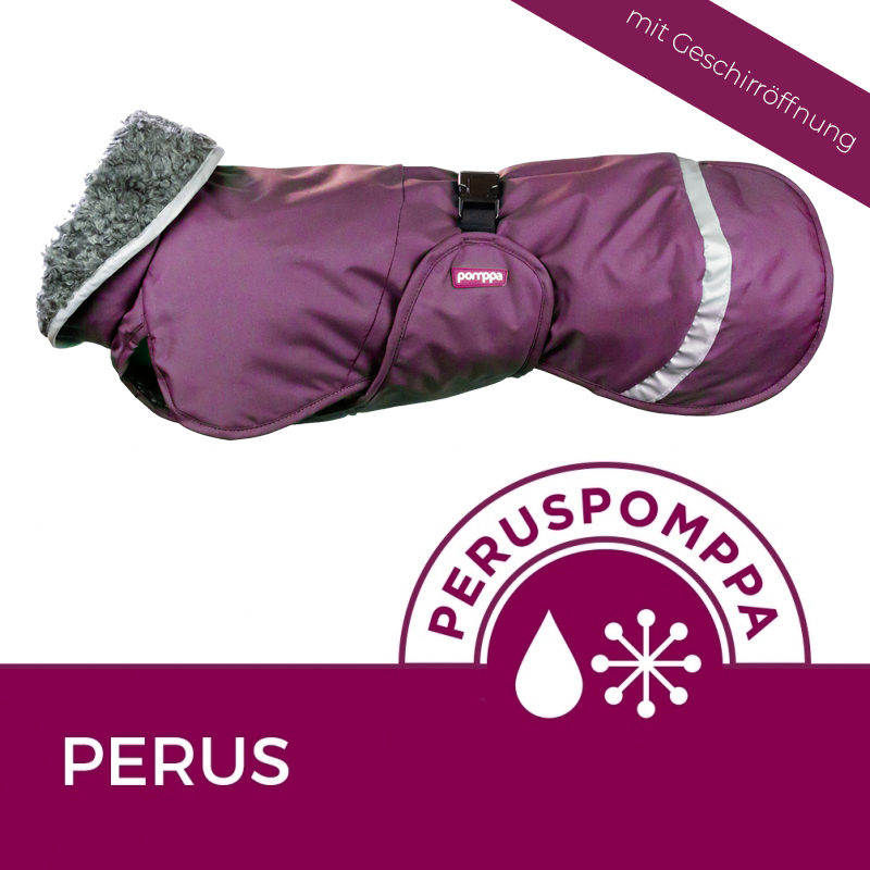 Perus Pomppa - Plum