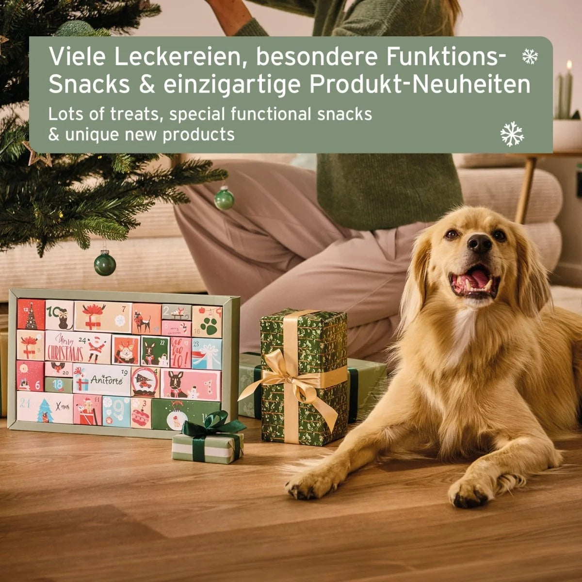 AniForte Premium Adventskalender für Hunde 2026