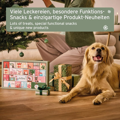 AniForte Premium Adventskalender für Hunde 2026