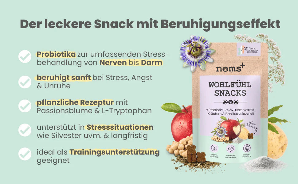 Wohlfühlsnacks für Hunde bei Stress, Angst & Unruhe