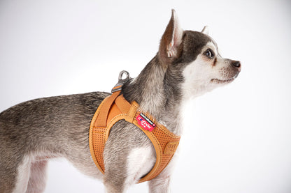 Apple Leather Harness - Brown