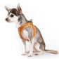 Apple Leather Harness - Brown