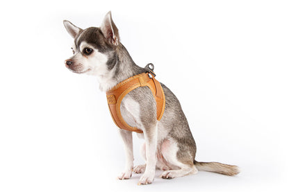 Apple Leather Harness - Brown