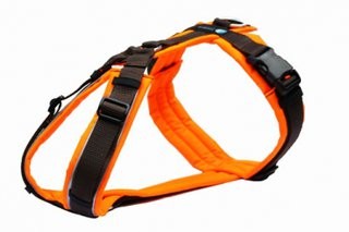 Harness Protect - Fluorescent Orange/Brown