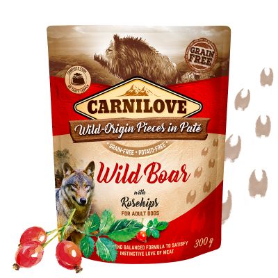 Can Adult Pouch Paté - Wild Boar