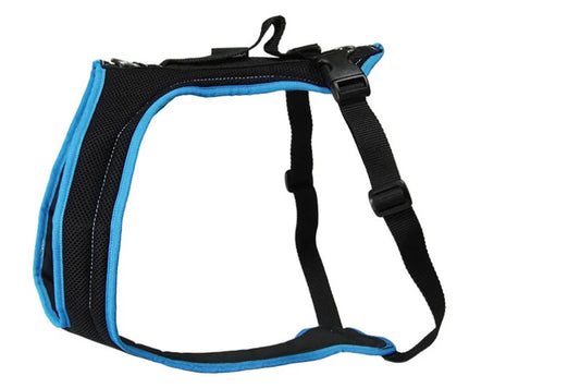 Dog's Fun Run Harness - Turquoise