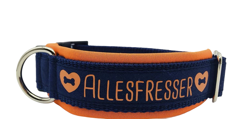 Halsband Allesfresser orange/dunkelblau