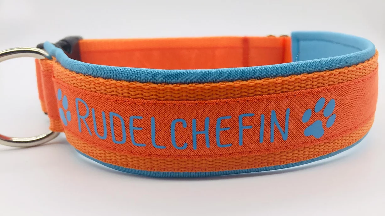 Halsband Rudelchefin mittelblau/orange