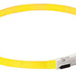 Maxi Safe LED Halsband