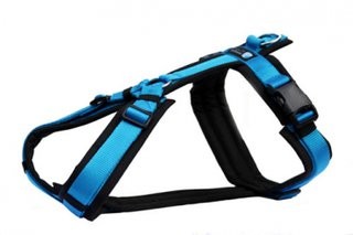 Harness Fun - Black/Turquoise