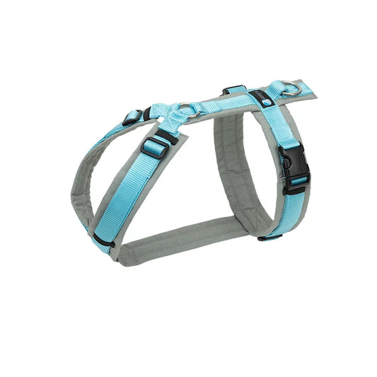 Harness Fun - Grey/Ice Blue